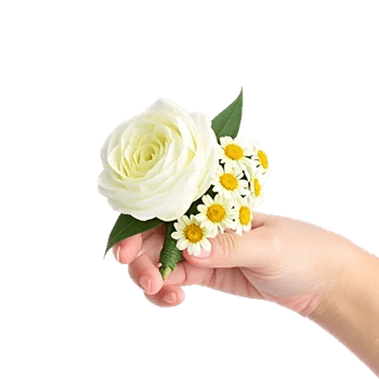 Delicate Petal Cascade