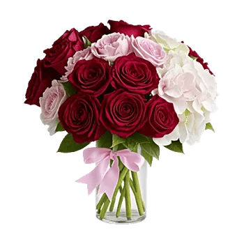 Crimson Rose Elegance