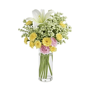 Graceful Lily Display