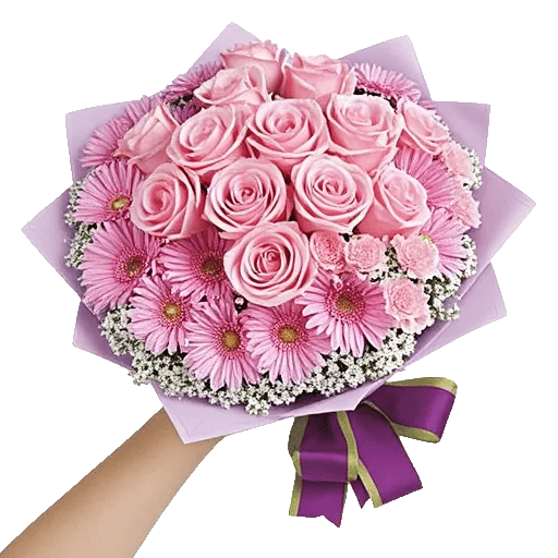 Pastel Pink Roses