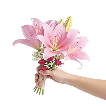 Graceful Lily Display