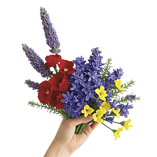 Lavender Bloom Grace