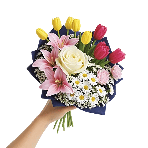 Blossom Harmony Display