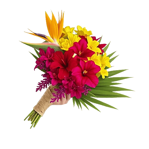 Tropical Sunflower Burst