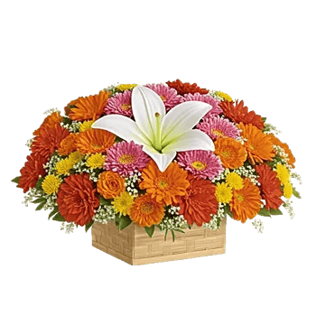 Blossom Glow Symphony