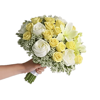 Petal Grace Harmony