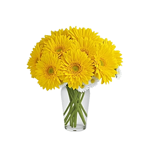 Petal Radiance Bliss