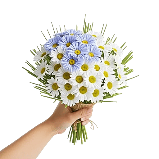 Blossom Petal Serenity