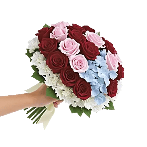 Blushing Rose Symphony