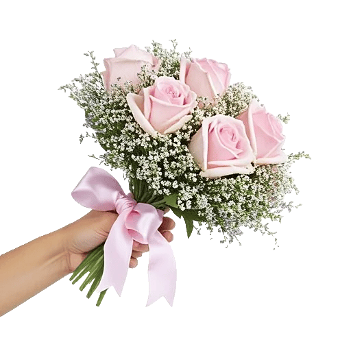 Pastel Pink Roses