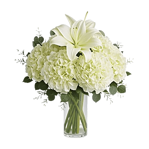 Graceful Lily Display