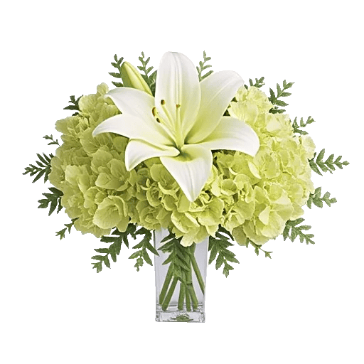 Graceful Lily Display