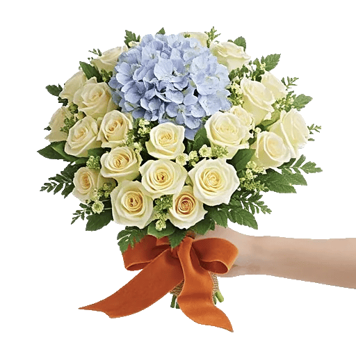 Serene Petal Harmony