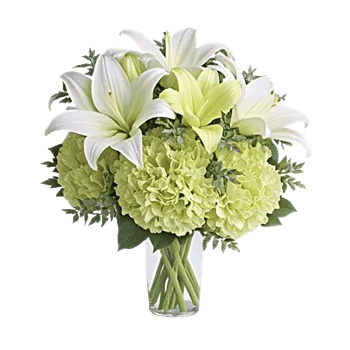 Ivory Blossom Radiance