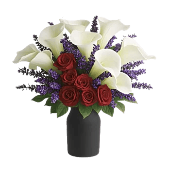 Elegant Calla Lilies