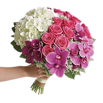 Orchid Bloom Cascade