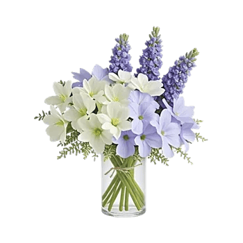 Ivory Blossom Radiance