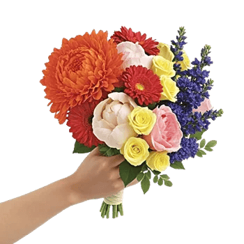 Petal Radiance Bliss