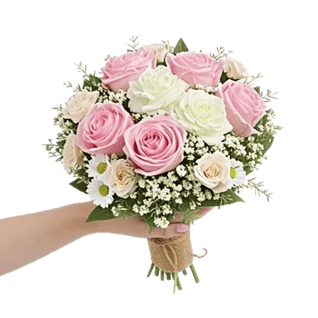 Pastel Pink Roses