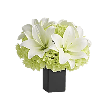 Ivory Blossom Radiance