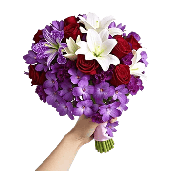 Orchid Bloom Cascade
