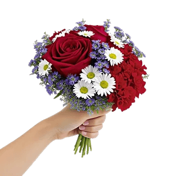 Crimson Rose Elegance