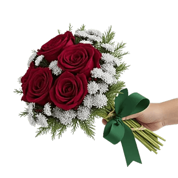 Crimson Rose Elegance