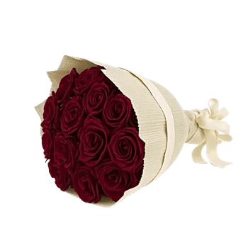 Crimson Rose Elegance