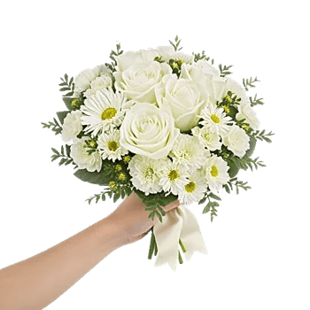 Delicate Petal Cascade