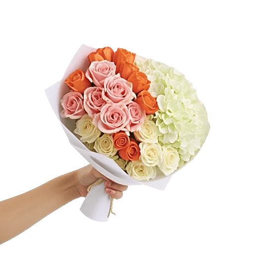 Pastel Pink Roses