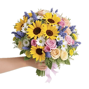 Soft Sunlight Blooms