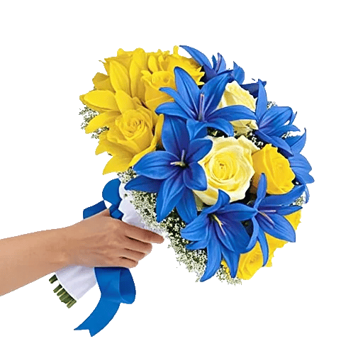 Blossom Harmony Display