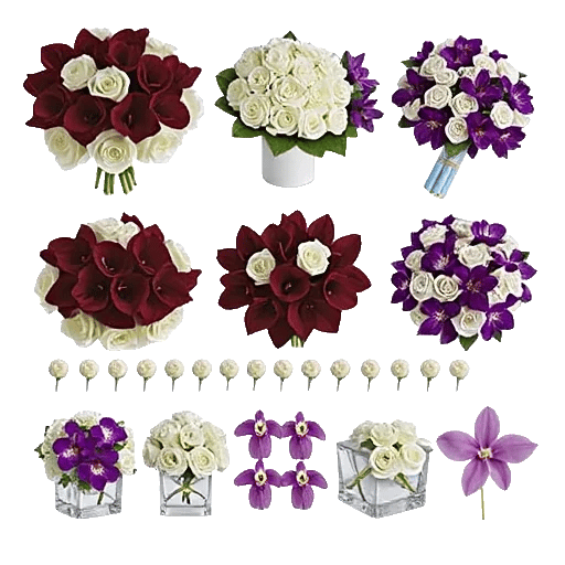 Elegant Calla Lilies