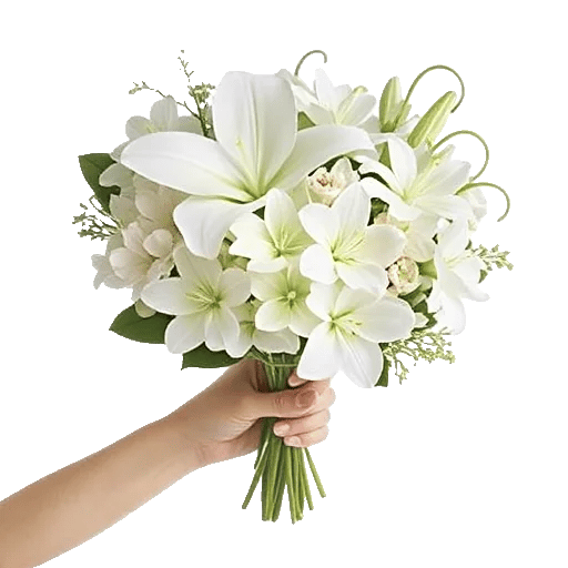 Minimalist White Orchids