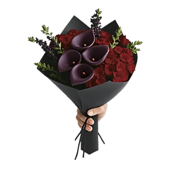 Elegant Calla Lilies