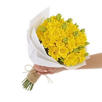 Twinkling Sunflower Dance