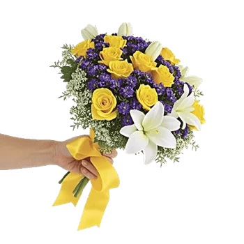 Blossom Harmony Display