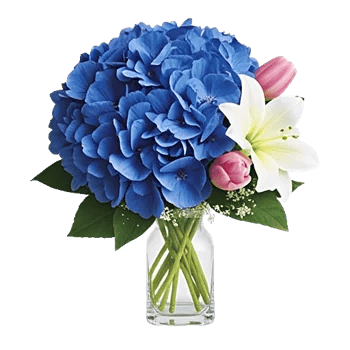 Azure Sky Blooms
