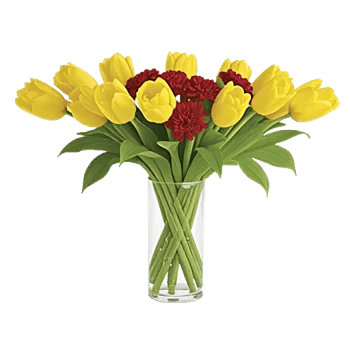 Radiant Petal Display