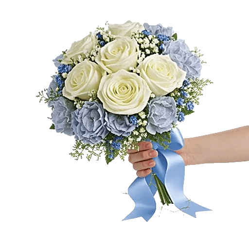 Serene Petal Harmony