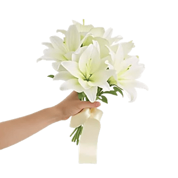 Graceful Lily Display