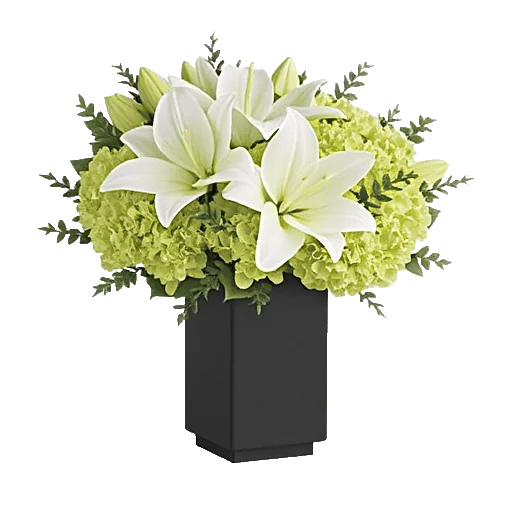 Ivory Blossom Radiance