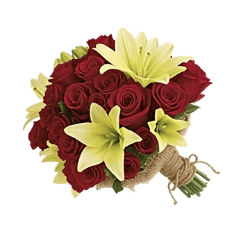 Crimson Rose Elegance