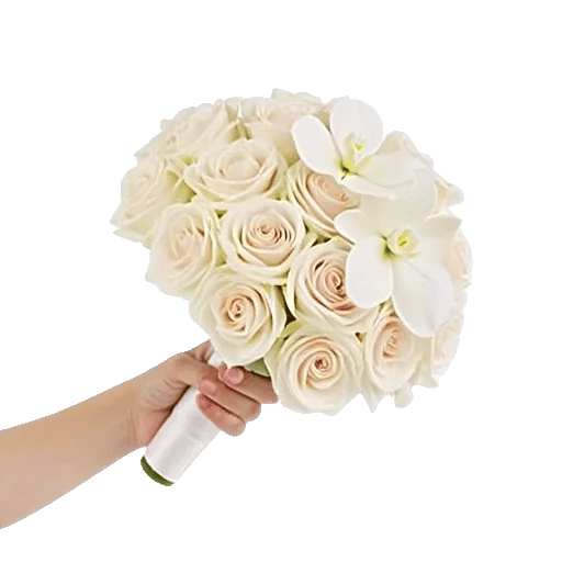 Modern White Orchids