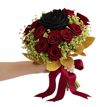 Crimson Rose Elegance