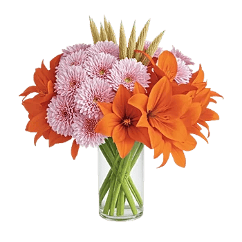 Petal Radiance Bliss