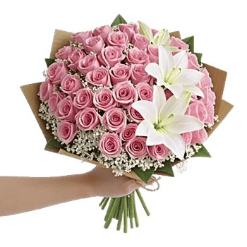 Blushing Rose Symphony