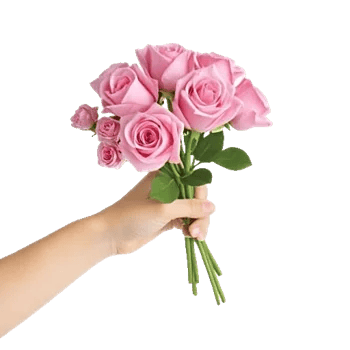 Pastel Pink Roses