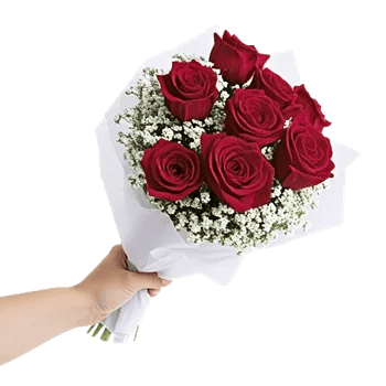 Crimson Rose Elegance