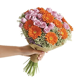 Petal Harmony Bliss